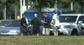 Baseball Fans & News Media HD Footage