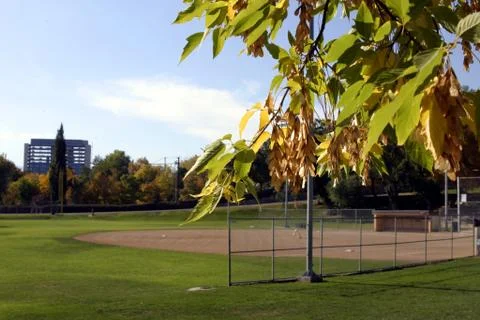 Baseball field with leaves in focus Stock Photos