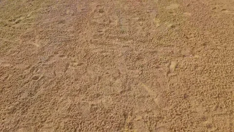 Baseball field motion toward plate. Ground texture. Sports and Recreation Stock Footage 338135235