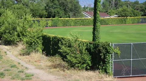 Baseball field with mountain range Vídeos de archivo 68776948