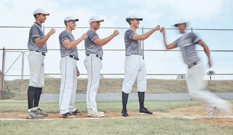 Baseball, fist bump and team support, sport and teamwork on baseball field Stock Photos