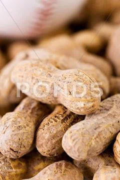 Baseball: focus on peanut Stock Photos