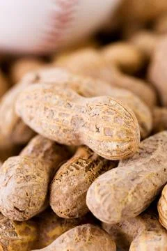 Baseball: focus on peanut Stock Photos
