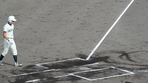 Baseball Vídeos de archivo 95788765