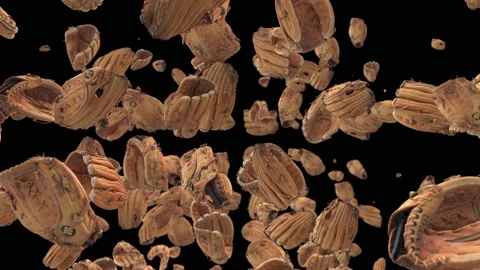 Baseball Glove 動画素材 146730421