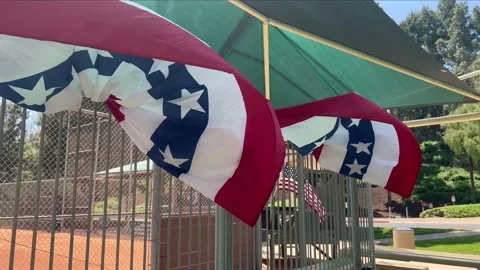 Baseball Grandstand Bunting Blowing Stock Footage 239755308