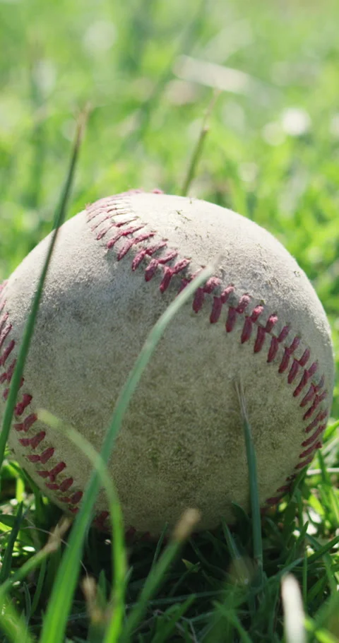 Baseball, grass and sports with object on field for game, match or training Vídeo Stock 336680494