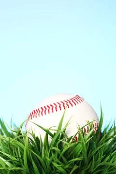 Baseball in grass Close up of baseball in grass (License=RF) 15319971 ,mod... Stock Photos