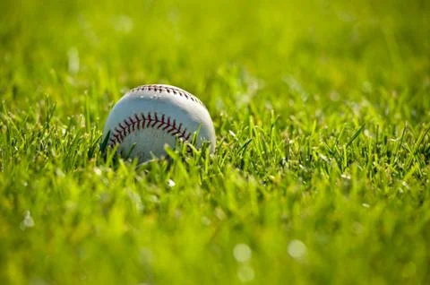 Baseball on grass Stock Photos