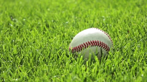 Baseball in grass, picked up by player Vidéo 2924293