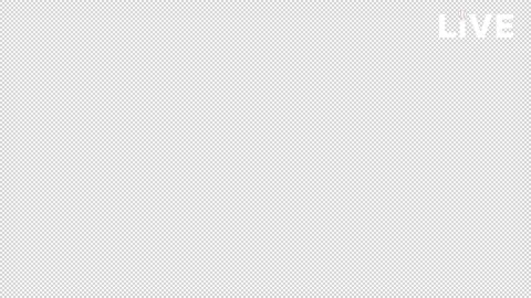 Baseball Live Bound White Loop Stock Footage 238974951