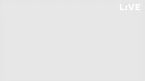 Baseball Live Rotating White Loop Stock Footage 238974954