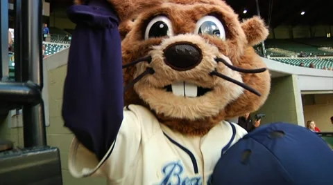 Baseball Mascot Stock Footage