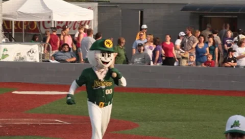 Baseball Mascott Stock Footage 7732810