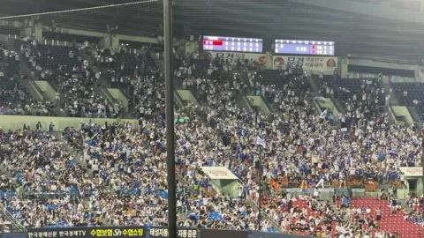 Baseball match audience Stock Footage 242162774