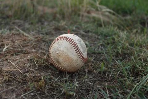 Baseball Stock Photos