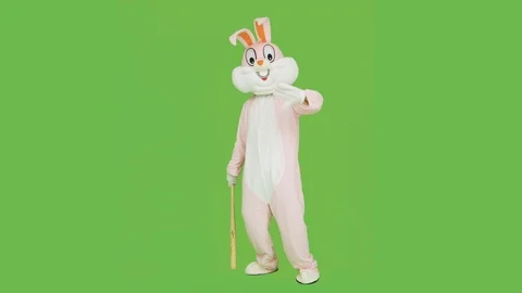 Baseball player in adult easter rabbit bunny life-size suit costume to hit swing Stock-Footage 127038394