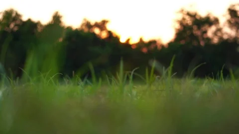 Baseball player is running with the light of the sunset Stock Footage 106137870