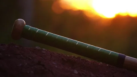 A baseball player's hand is picking up a baseball bat for training Stock Footage 132108695