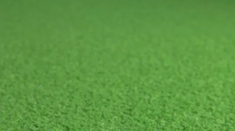 Baseball rolling into the frame Stock Footage 3666803