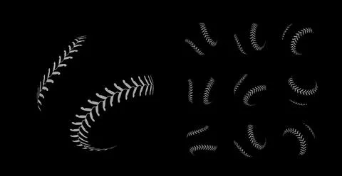 Baseball Seam Lace Collection, vector illustration Stock Illustration