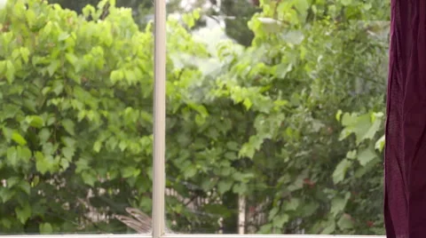 Baseball shatters a window Stock Footage 58604156