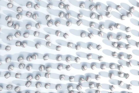 Baseball Sports Ball Array 写真素材