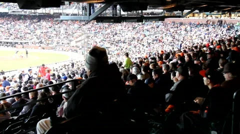 Baseball Stadium Stock Footage 788774