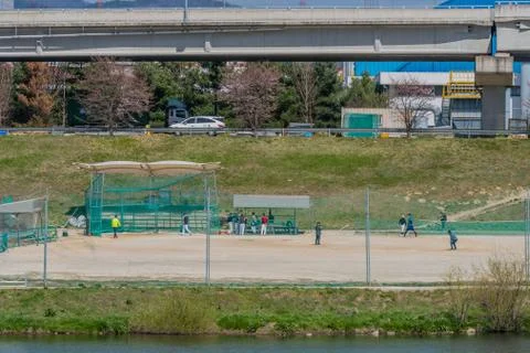 Baseball team preparing for a game Stock Photos