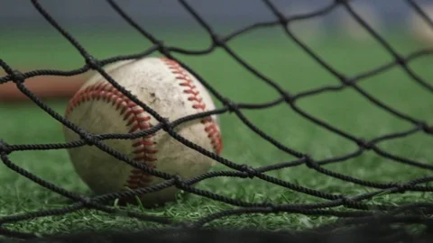 Baseballs on Practice Field by Netting Vídeo Stock 86260623