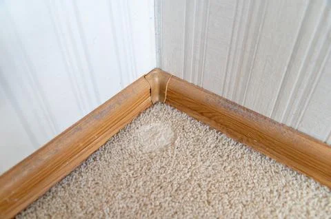 The baseboard in the room is covered in dust Stock Photos