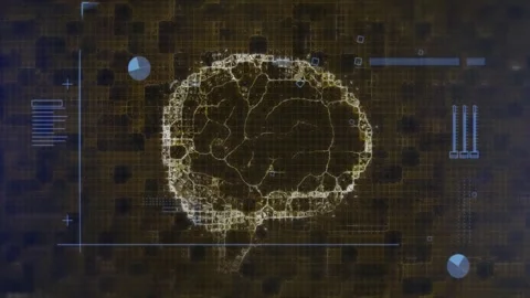 Baseline emitting pulse, neural map forming and pulsing, showing network Stock Footage 328246660
