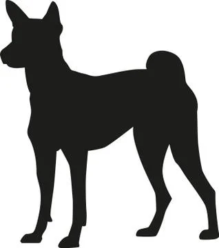 Basenji silhouette Stock Illustration