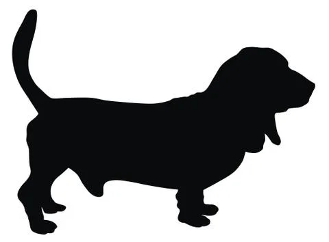 Baset Stock Illustration