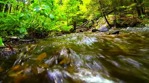 Bash Bish Falls: Running Water Stock Footage 39937512