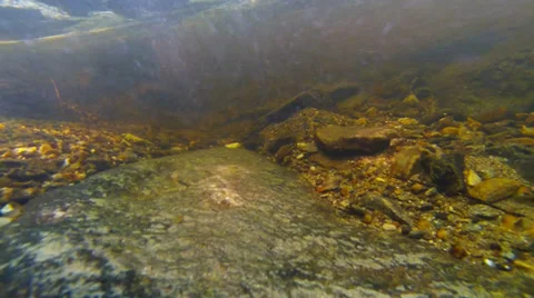 Bash Bish Falls: Underwater Bubbles Slow Motion Stock Footage 39939695