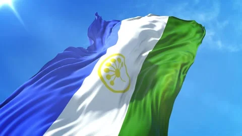 Bashkortostan Flag Low Angle View Stock Footage 295684957