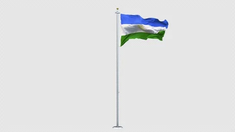Bashkortostan flag waving 360-degree rotation looping Vidéo 310417706