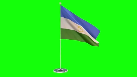 Bashkortostan  office small flag pole 스톡 동영상 160804262