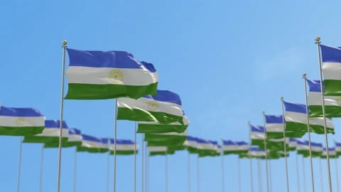 Bashkortostan Row Of Flags 3D Animation Vídeo Stock 148623403
