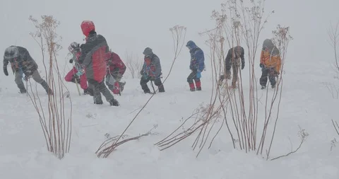 Basic Alpine Mountaineering Course Video stock 101805513