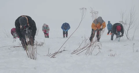 Basic Alpine Mountaineering Course Video stock 101805577