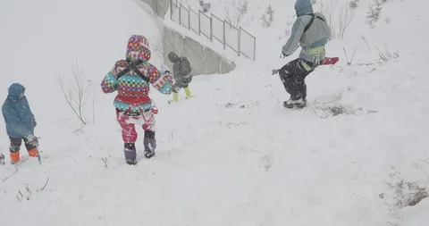 Basic Alpine Mountaineering Course Video stock 111567849