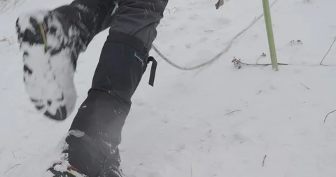 Basic Alpine Mountaineering Course Video stock 111590640