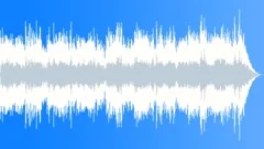 Basic Blues Acoustic Guitars Stock Music