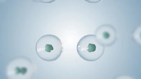 Basic Cells Division Blue 4K: Witness the captivating process of cell division i Video stock 348512089