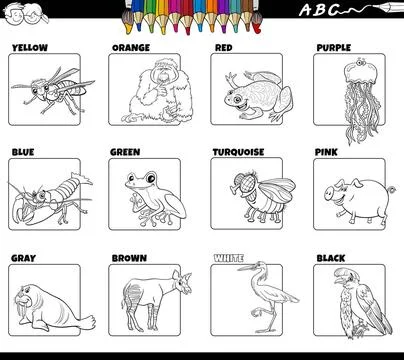 Basic colors with animal characters set coloring book page Black and white... Stock Photos