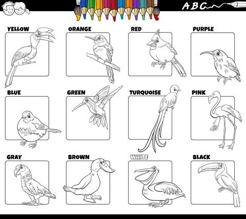 Basic colors with birds animal characters set coloring page Stock Illustration