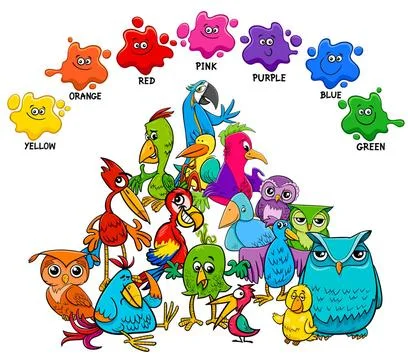 Basic colors educational page with birds Cartoon Illustration of Basic Col... Stock Photos