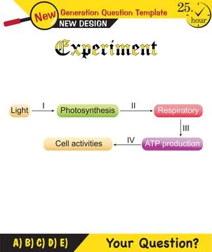 Basic components of living things Stock Illustration